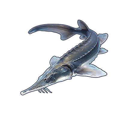Frost Sturgeon in Neverness to Everness