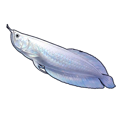 Silver Arowana in Neverness to Everness