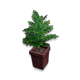 Grass Crown in Neverness to Everness