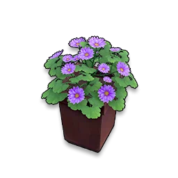 Starry Night in Neverness to Everness