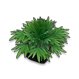 Lush Greenery in Neverness to Everness