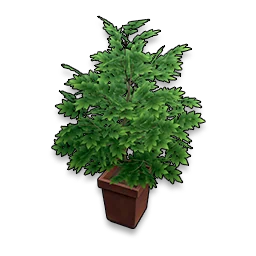 Greeeens in Neverness to Everness