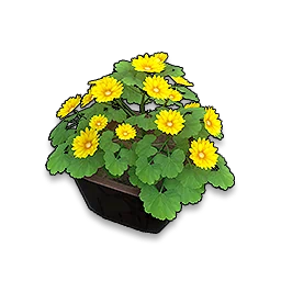 Golden Ray in Neverness to Everness