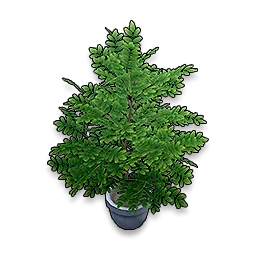 Whispers of the Forest in Neverness to Everness