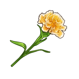 Carnation in Neverness to Everness