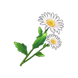 Chamomile in Neverness to Everness