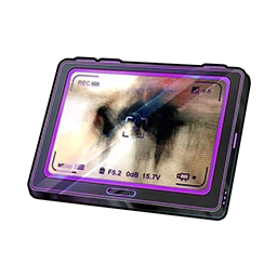 Blurred Silhouette in Neverness to Everness