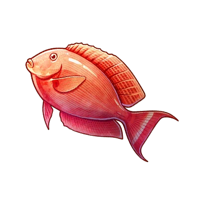 Red Tang in Neverness to Everness