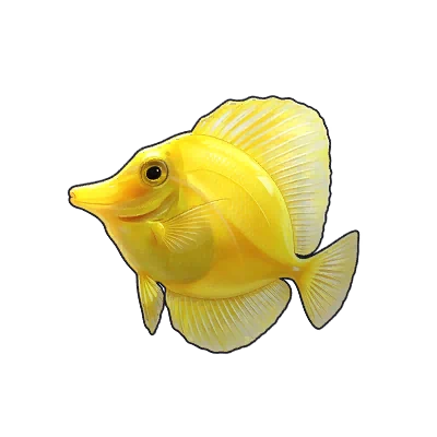 Golden Tang in Neverness to Everness