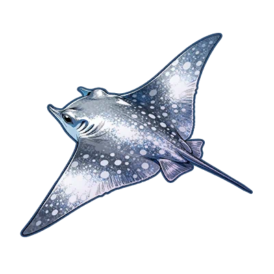 Midnight Ray in Neverness to Everness