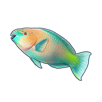 Green Parrotfish in Neverness to Everness