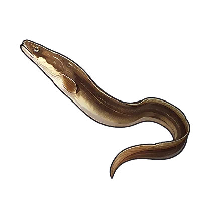 Moray Eel in Neverness to Everness