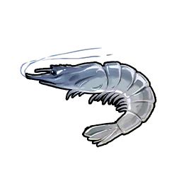 Shrimp Bait in Neverness to Everness