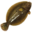 Large Flounder