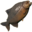 Large Piranha