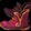Ruby Slippers Icon