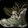 Enchant Boots - Cat's Swiftness Icon