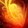 Fire Bloom Icon