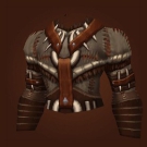 Vest of Jotunheim Model