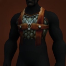 Charger's Armor Model