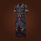 Primal Combatant's Robes of Prowess Model