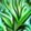 Wild Growth Icon