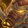 Raging Behemoth's Shoulderplates Icon
