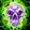 Mind-numbing Poison Icon