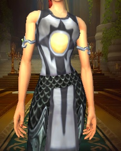 Argent Crusade Tabard appearance