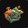 Fungal Chest Icon