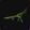 Venomous Tendril Icon