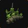 Venomous Defender's Barricade Icon