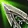 Moon Glaive Icon