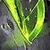 Fel Scythe Icon