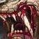 Apex Predator's Craving Icon