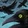 Raven's Dive Icon