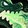 Dragon's Breath Icon