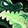 Jade Fire Breath Icon