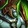 Call Fel Lord Icon