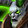 Twisted Crusade Icon