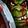 I Can Do This All Day Icon