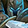 Phalanx Icon