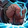 Lightning Bash Icon