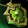 Aqirbane Reliquary Icon