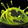 Poison Burst Icon