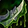 Poisoner's Drive Icon