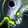 Biletooth Gnasher Icon