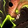 Crimson Slavermaw Icon
