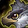 Scruffbeak Icon