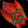 Amberfrond Bracers Icon